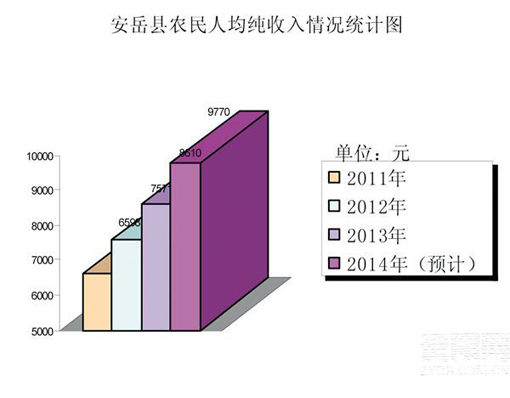 安岳县农民人均纯收入情况统计图